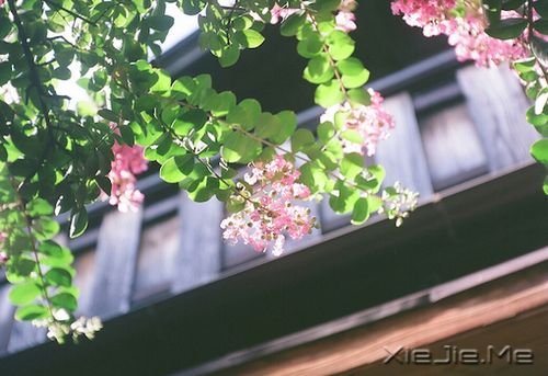 早安心语：你的心很小，不要装下太多忧伤 (2)