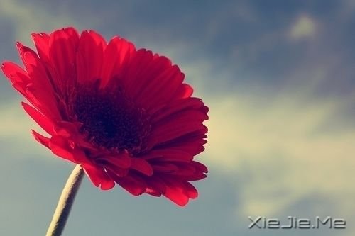 学会忽略，学会忘记